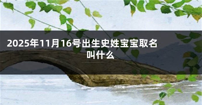 2025年11月16号出生史姓宝宝取名叫什么