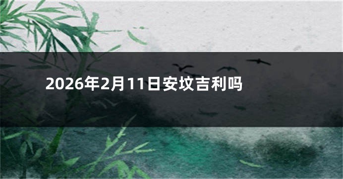 2026年2月11日安坟吉利吗