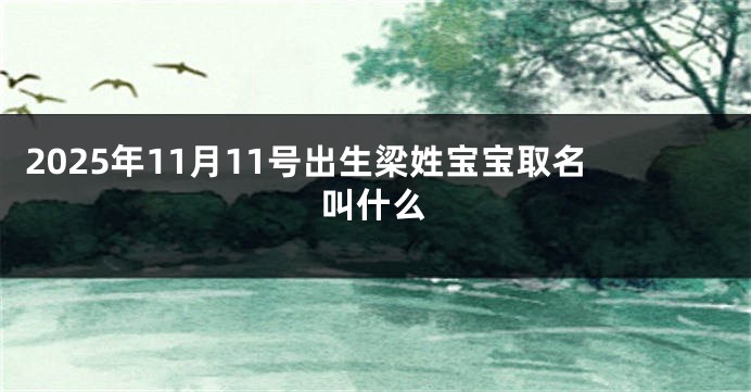2025年11月11号出生梁姓宝宝取名叫什么