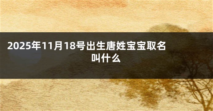 2025年11月18号出生唐姓宝宝取名叫什么