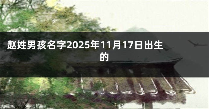 赵姓男孩名字2025年11月17日出生的