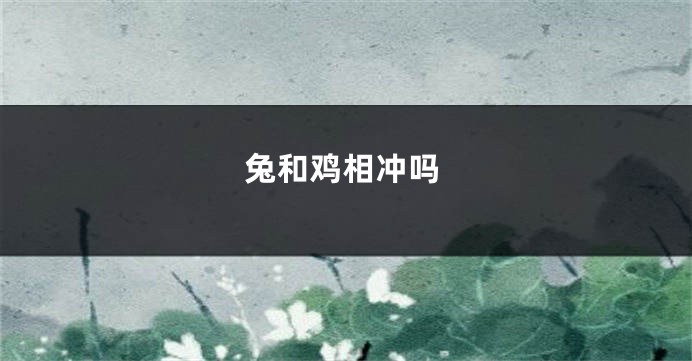 兔和鸡相冲吗