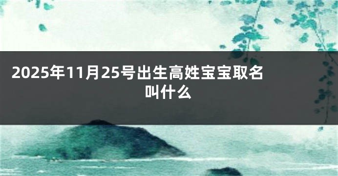 2025年11月25号出生高姓宝宝取名叫什么