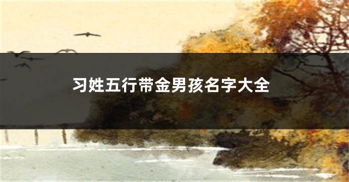 习姓五行带金男孩名字大全