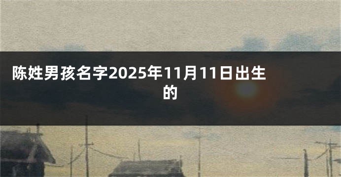陈姓男孩名字2025年11月11日出生的
