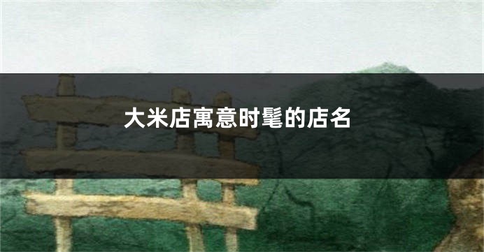 大米店寓意时髦的店名