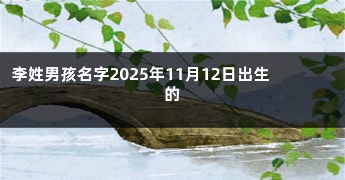 李姓男孩名字2025年11月12日出生的