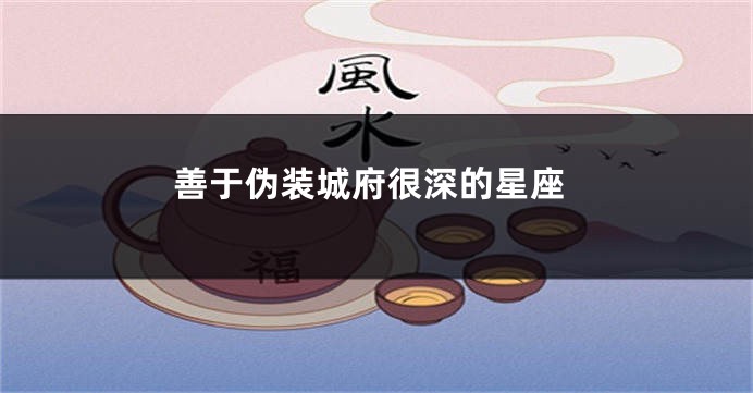 善于伪装城府很深的星座