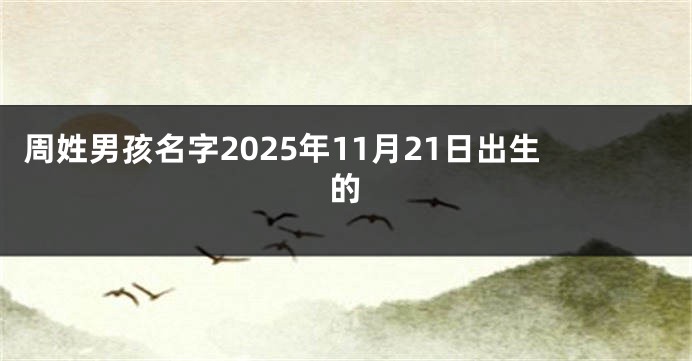 周姓男孩名字2025年11月21日出生的