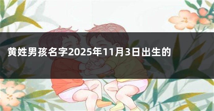 黄姓男孩名字2025年11月3日出生的