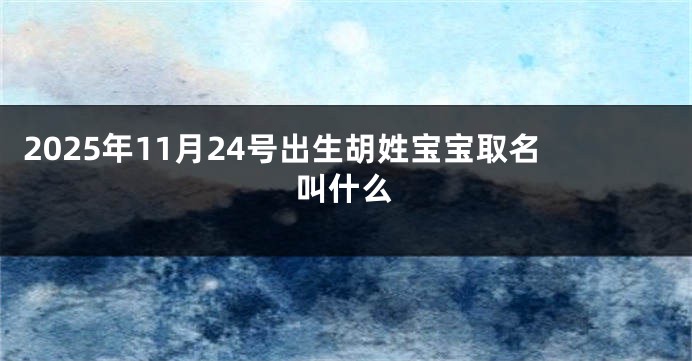 2025年11月24号出生胡姓宝宝取名叫什么