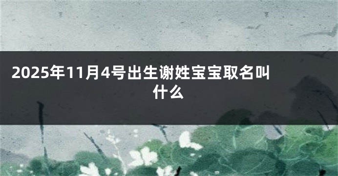 2025年11月4号出生谢姓宝宝取名叫什么