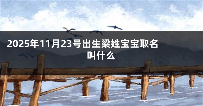 2025年11月23号出生梁姓宝宝取名叫什么