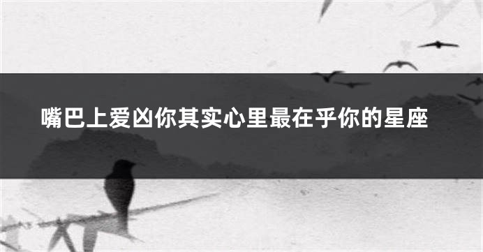 嘴巴上爱凶你其实心里最在乎你的星座