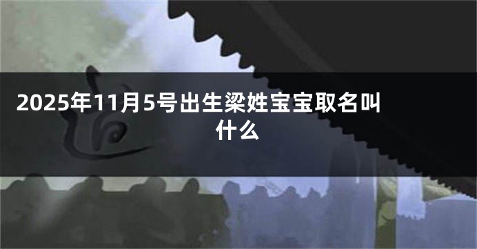 2025年11月5号出生梁姓宝宝取名叫什么