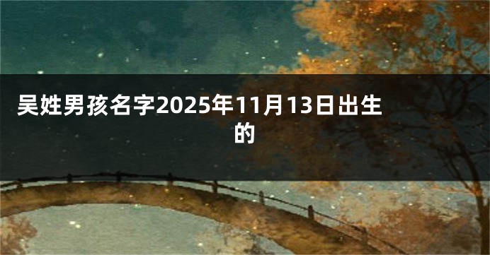 吴姓男孩名字2025年11月13日出生的