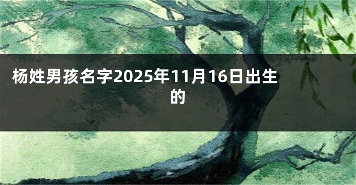 杨姓男孩名字2025年11月16日出生的