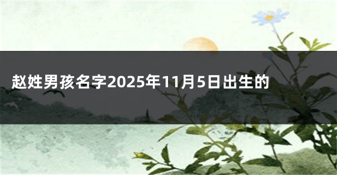 赵姓男孩名字2025年11月5日出生的