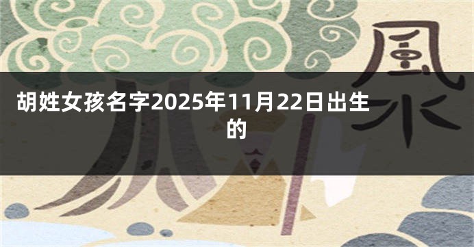 胡姓女孩名字2025年11月22日出生的