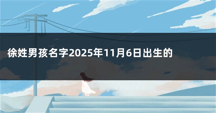 徐姓男孩名字2025年11月6日出生的