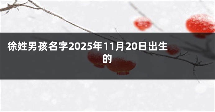 徐姓男孩名字2025年11月20日出生的