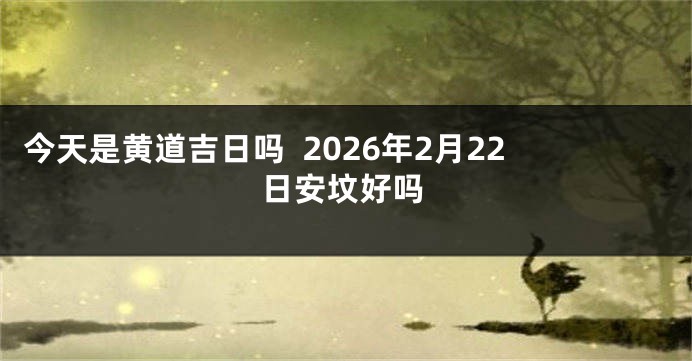 今天是黄道吉日吗  2026年2月22日安坟好吗