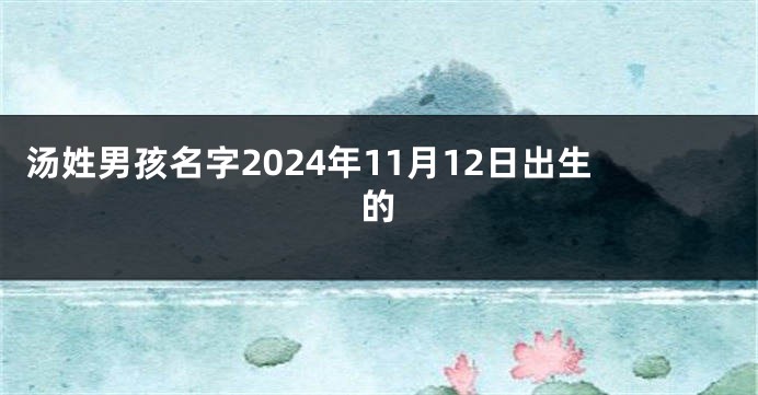 汤姓男孩名字2024年11月12日出生的