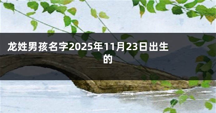 龙姓男孩名字2025年11月23日出生的