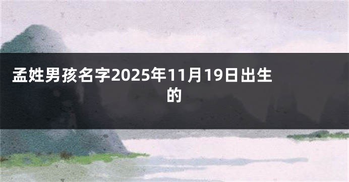 孟姓男孩名字2025年11月19日出生的