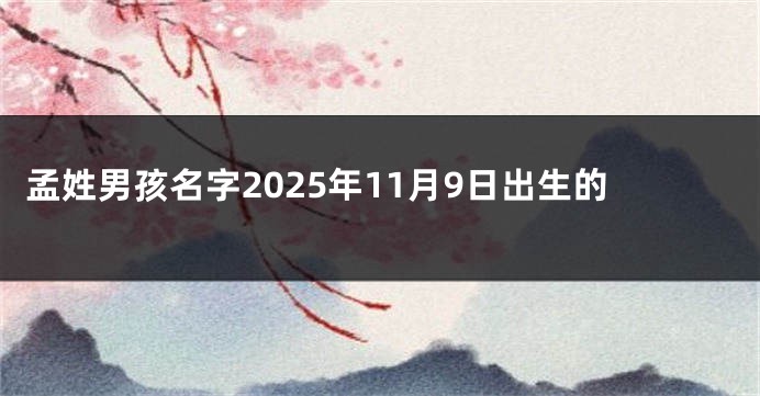 孟姓男孩名字2025年11月9日出生的