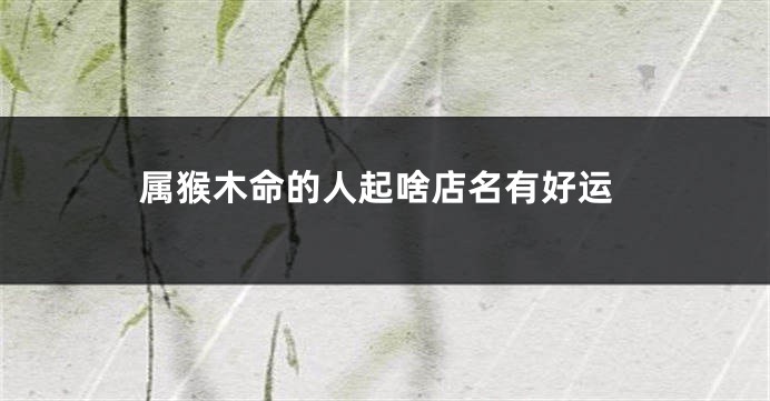属猴木命的人起啥店名有好运