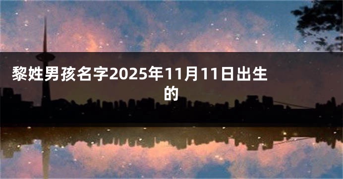 黎姓男孩名字2025年11月11日出生的