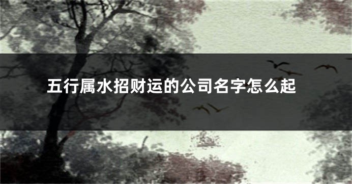 五行属水招财运的公司名字怎么起