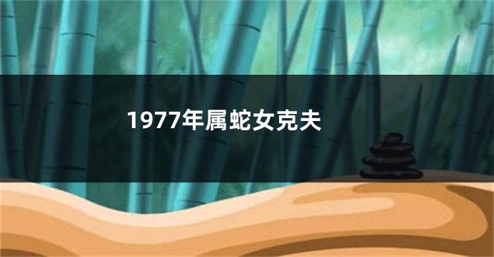 1977年属蛇女克夫