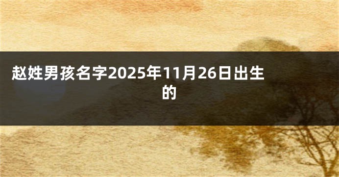 赵姓男孩名字2025年11月26日出生的