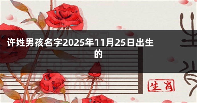 许姓男孩名字2025年11月25日出生的