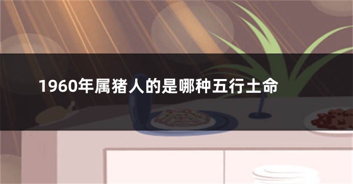 1960年属猪人的是哪种五行土命