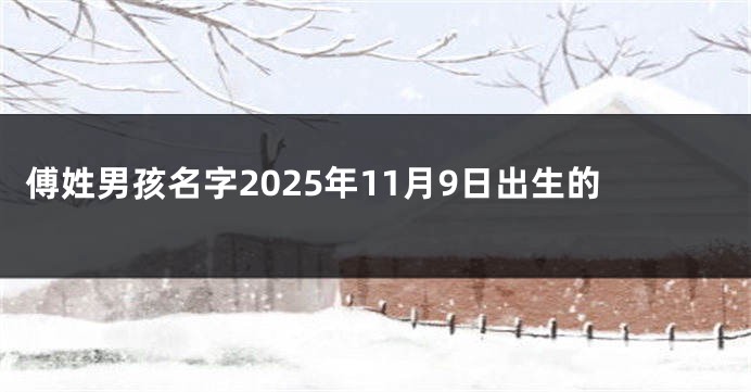傅姓男孩名字2025年11月9日出生的