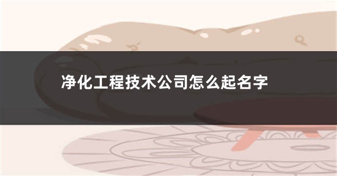 净化工程技术公司怎么起名字