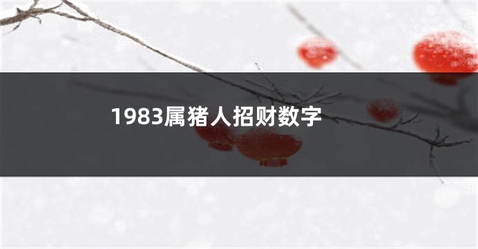 1983属猪人招财数字