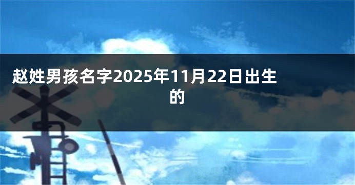 赵姓男孩名字2025年11月22日出生的