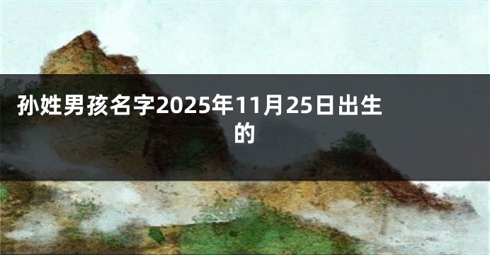 孙姓男孩名字2025年11月25日出生的