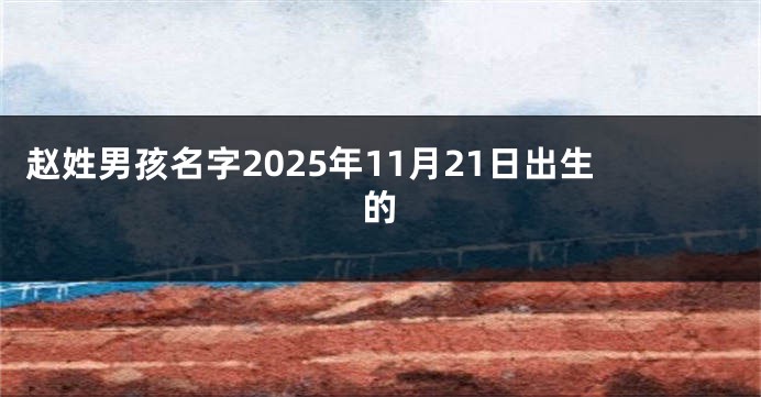 赵姓男孩名字2025年11月21日出生的