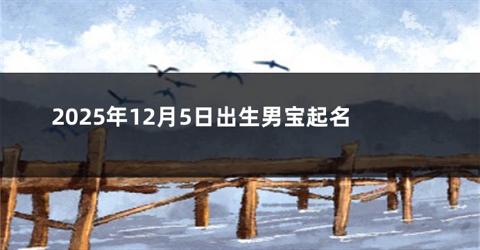 2025年12月5日出生男宝起名