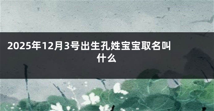 2025年12月3号出生孔姓宝宝取名叫什么