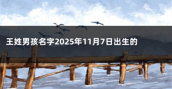 王姓男孩名字2025年11月7日出生的