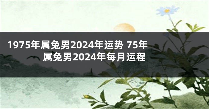1975年属兔男2024年运势 75年属兔男2024年每月运程