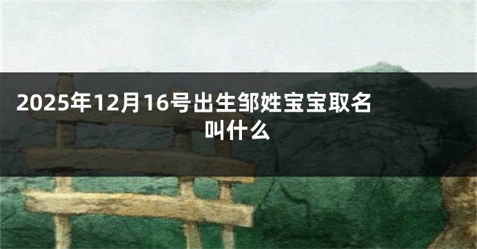 2025年12月16号出生邹姓宝宝取名叫什么