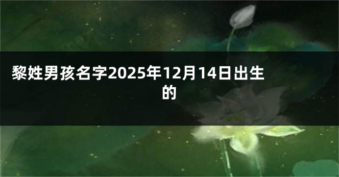 黎姓男孩名字2025年12月14日出生的