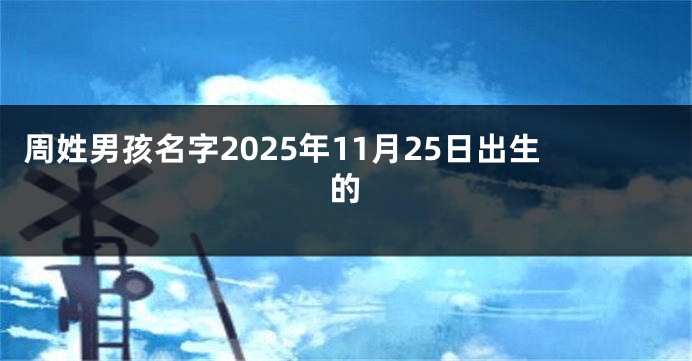 周姓男孩名字2025年11月25日出生的